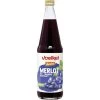Demeter Italienischer Merlot Traubensaft Rot 0,7L -Knorr Store demeter voelkel italienischer merlot traubensaft rot 07l mw