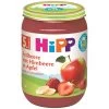 Hipp Bio Erdbeere Mit Himbeere In Apfel Ab Dem 5.Monat 190G -Knorr Store hipperdhiminapfab5