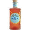 Gin Con Arancia 41% 0,7L -Knorr Store malfy gin con arancia 41 07l