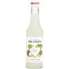 Monin Sirup Cocos 250ML -Knorr Store monin sirup kokosnuss 025l
